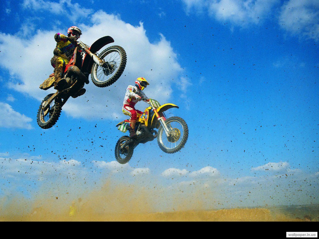 968.DAX Tipp-Spiel,Dienstag,03.02.09, 17.45 Uhr 213921