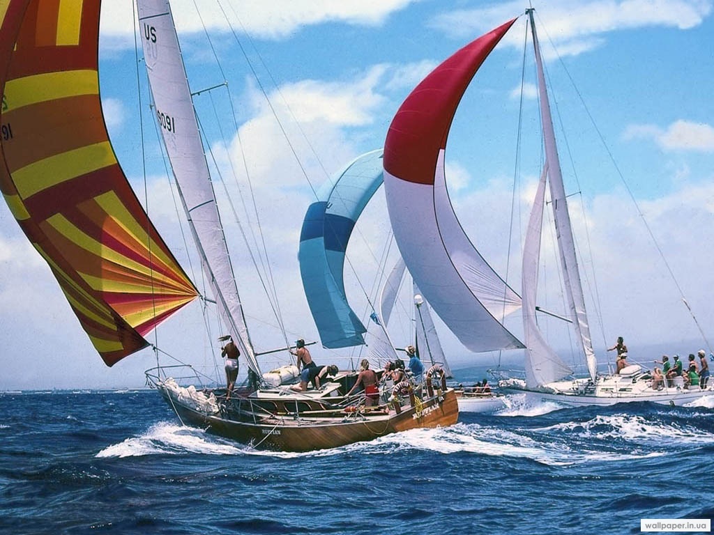 968.DAX Tipp-Spiel,Dienstag,03.02.09, 17.45 Uhr 214043