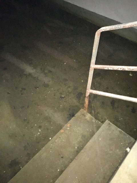 Aston Martin (WKN A2QJD4) 1449459