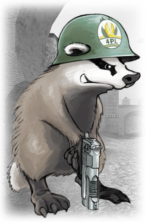 Was steckt hinter dem Paketeria AG Anstieg? 431160