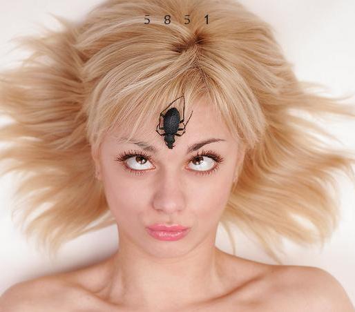 355.DAX Tipp-Spiel, Donnerstag, 31.08.06 54763