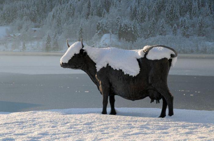 1.211.DAX Tipp-Spiel, Dienstag, 19.01.10 292573