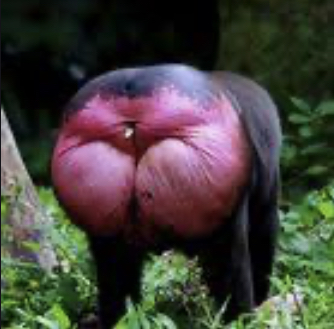 Meine Wirecard-Gewinne - Thread! 1172304