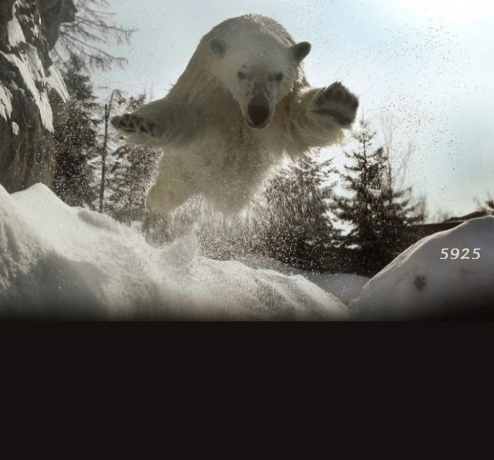 883.DAX Tipp-Spiel *Dienstag* 30.09.08, 17.45 Uhr 189290