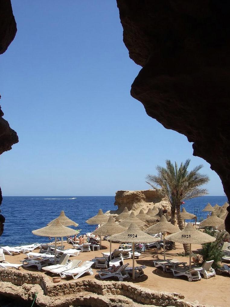 1.297.DAX Tipp-Spiel, Freitag, 21.05.10 321364