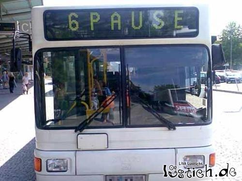 Die Bullen scharren gar nicht mit den Hufen, 186366