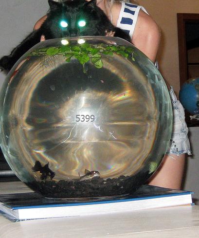 888.DAX Tipp-Spiel *Dienstag* 07.10.08, 17.45 Uhr 190742