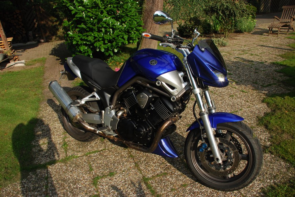 Das Bärengebrüll wird schon wieder lauter, 176789