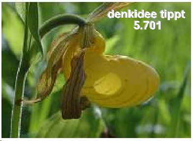 231.DAX Tipp-Spiel, Dienstag, 7.3.06, 17.45 Uhr 32204