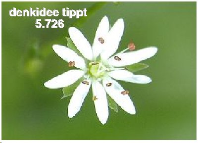 232.DAX Tipp-Spiel, Mittwoch, 8.3.06, 17.45 Uhr 32361