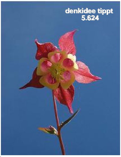 233.DAX Tipp-Spiel, Donnerstag, 9.3.06, 17.45 Uhr 32576