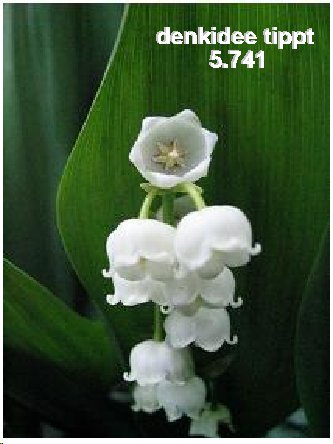 235.DAX Tipp-Spiel, Montag, 13.3.06, 17.45 Uhr, 32960