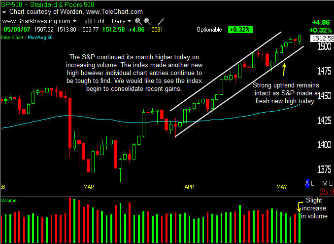 Der USA Bären-Thread 97103