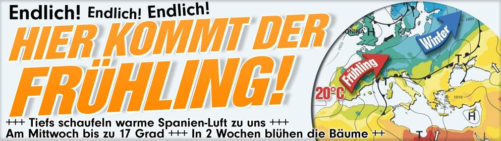 Inside: Praktiker 594796