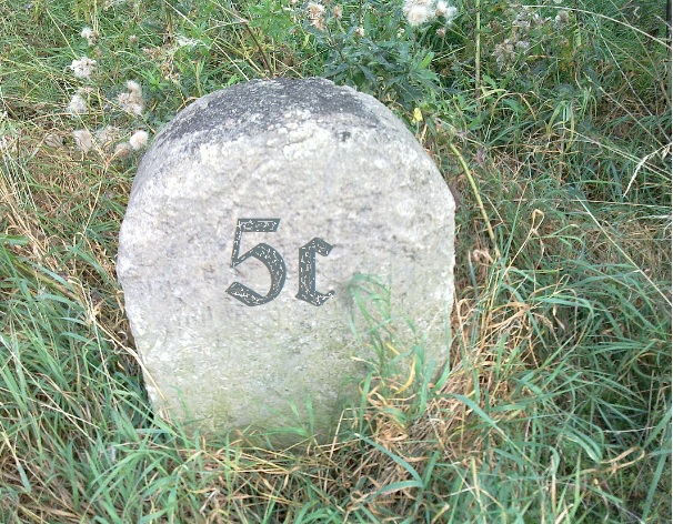 STEINHOFF International an die Tickers 1191119