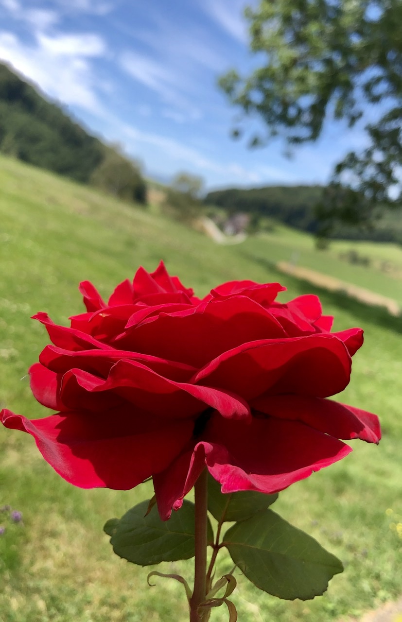 Bitcoins der nächste Monsterhype steht bevor! 1190079