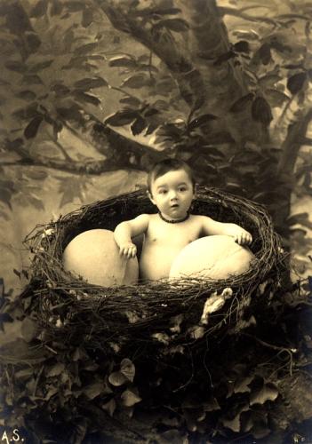 Der USA Bären-Thread 226892