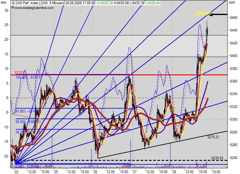 Die Bullen scharren gar nicht mit den Hufen, 182986