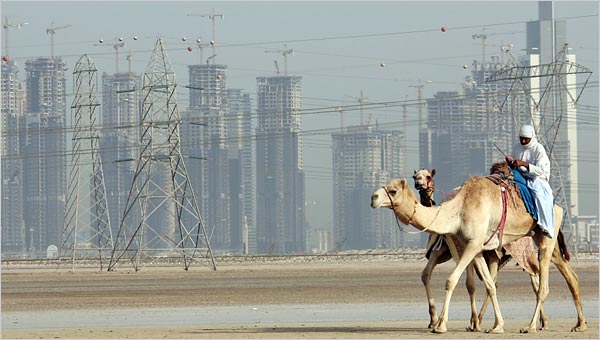 Der USA Bären-Thread 96366