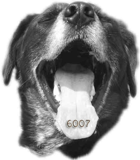 250.DAX Tipp-Spiel, Montag, 03.4.06, 17.45 Uhr 35924