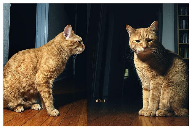 375.DAX Tipp-Spiel, Donnerstag, 28.09.06 59109