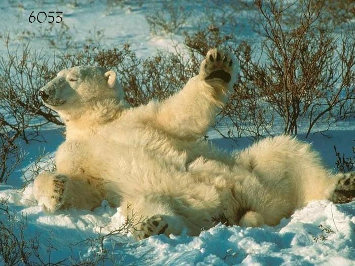 Die Links zu den Sternenkinder (DAX Spiel) 185904