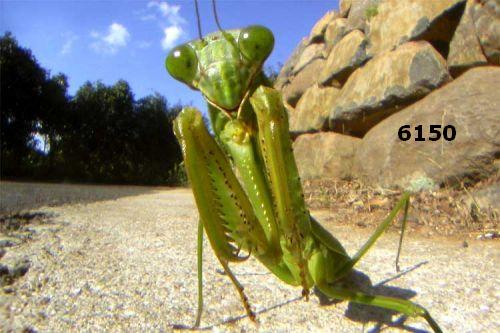 390.DAX Tipp-Spiel, Donnerstag, 19.10.06 62725