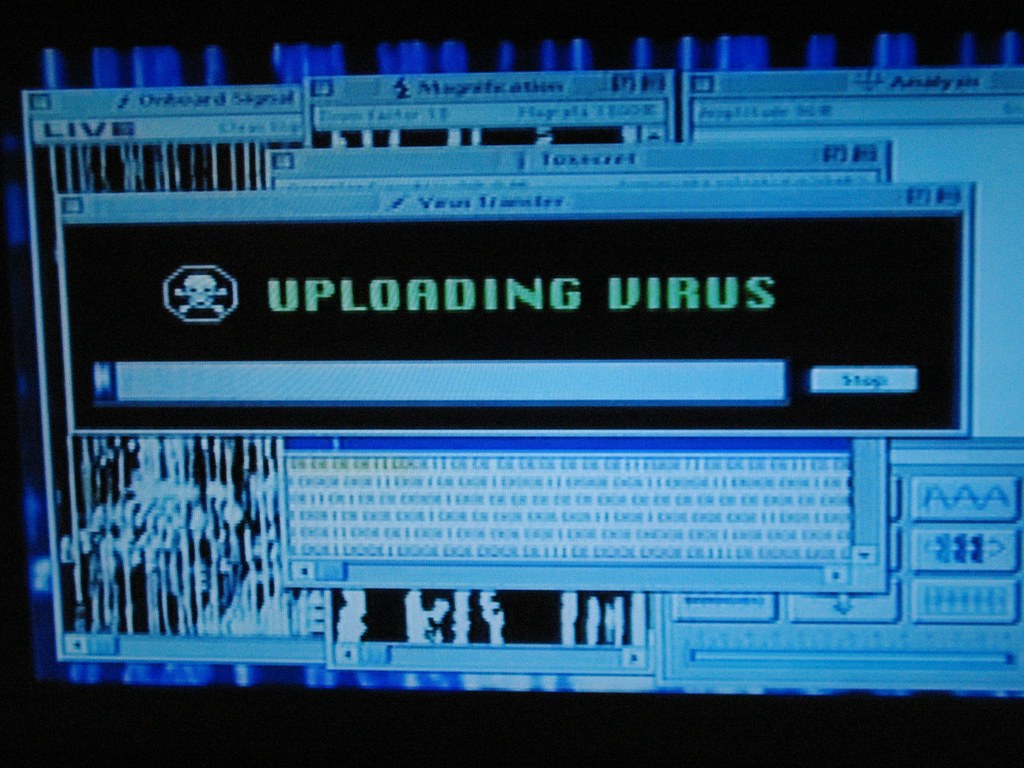 Der USA Bären-Thread 1158264