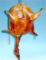 398.DAX Tipp-Spiel, Dienstag, 31.10.06 64776