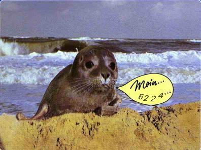 843.DAX-Tipp-Spiel**Mittwoch**06.08.08-17.45 Uhr 178429