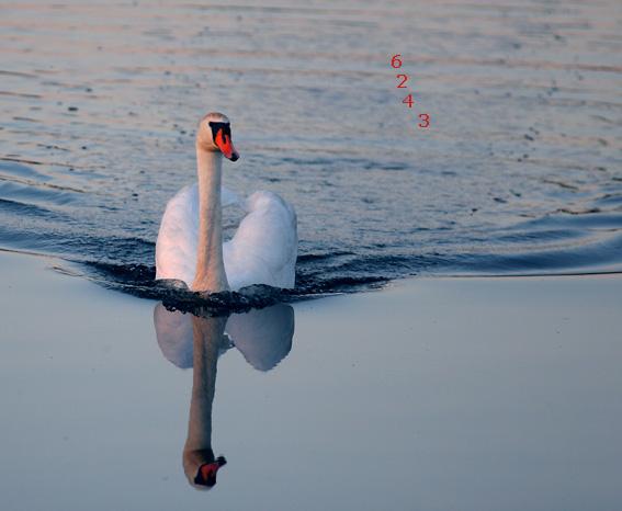 402.DAX Tipp-Spiel, Montag, 06.11.06 65564