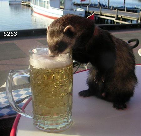 402.DAX Tipp-Spiel, Montag, 06.11.06 65566