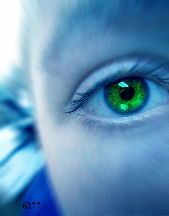 1.401.DAX Tipp-Spiel, Donnerstag, 14.10.10 350956