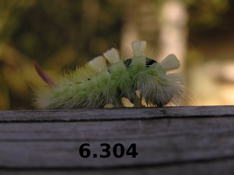 405.DAX Tipp-Spiel, Donnerstag, 09.11.06 66201