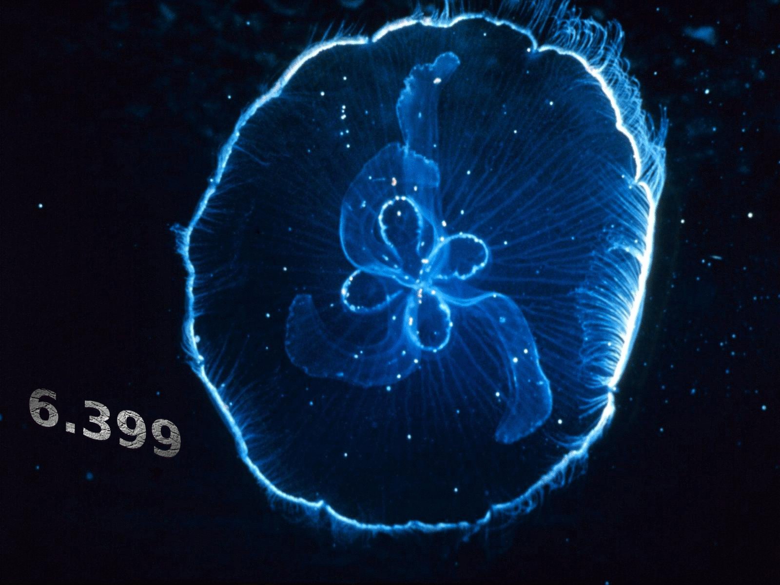 411.DAX Tipp-Spiel, Freitag, 17.11.06 67290