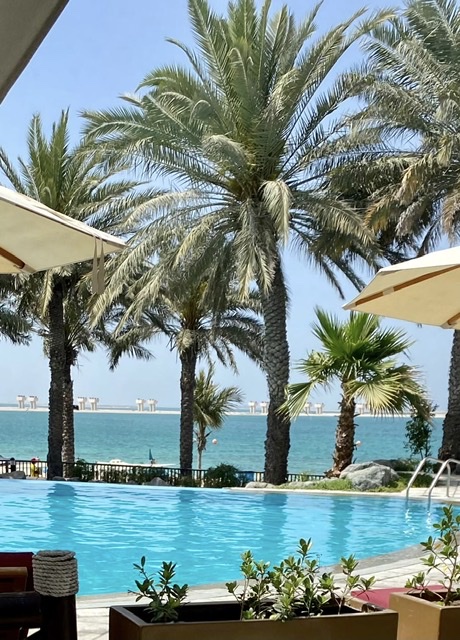 Börse ein Haifischbecken: Trade was du siehst 1243256