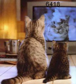 863.DAX Tipp-Spiel *Dienstag* 02.09.08, 17.45 Uhr 183465