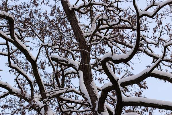 749.DAX Tipp-Spiel, Dienstag, 25.03.08 156243