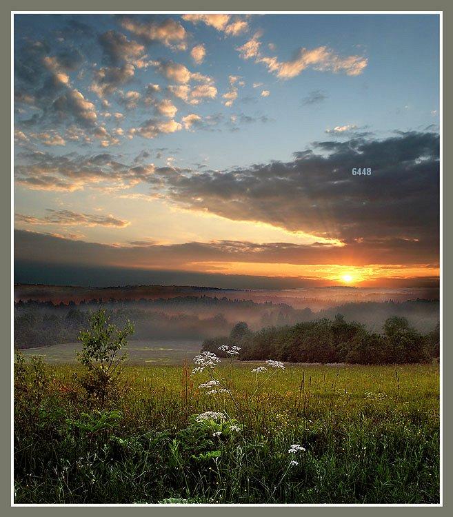 411.DAX Tipp-Spiel, Freitag, 17.11.06 67288