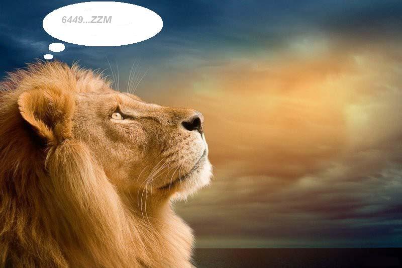 415.DAX Tipp-Spiel, Donnerstag, 23.11.06 68172