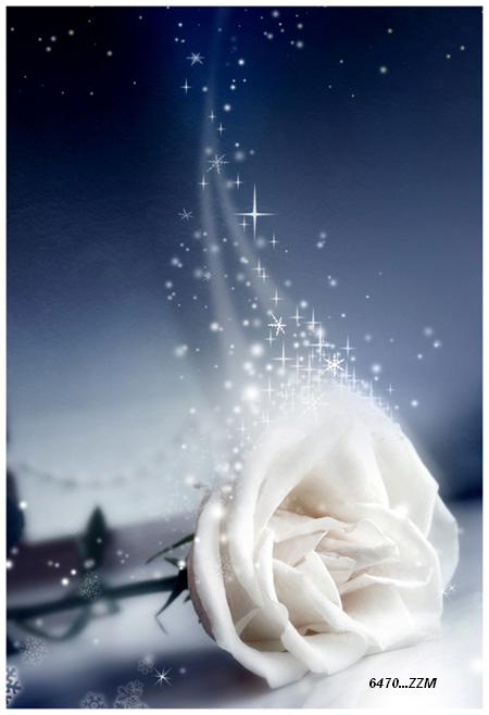 428.DAX Tipp-Spiel, Dienstag, 12.12.06 71152