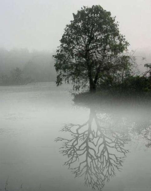 Die Links zu den Sternenkinder (DAX Spiel) 183997