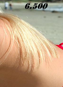 429.DAX Tipp-Spiel, Mittwoch, 13.12.06 71351