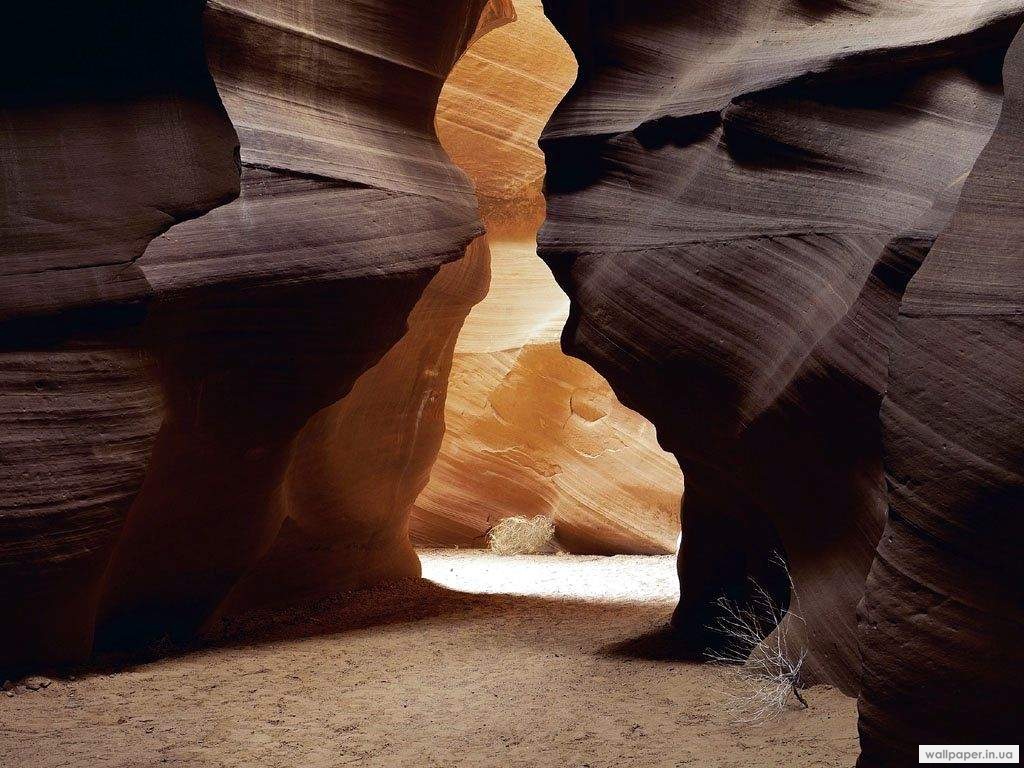 977.DAX Tipp-Spiel Montag,16.02.09.17.45 Uhr 216278