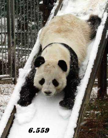 447.DAX Tipp-Spiel, Donnerstag, 11.01.07 76228