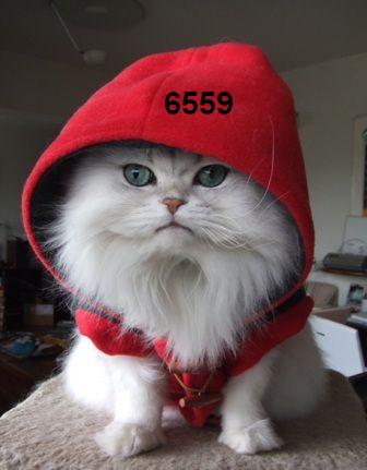 492.DAX Tipp-Spiel, Donnerstag, 15.03.07 87571