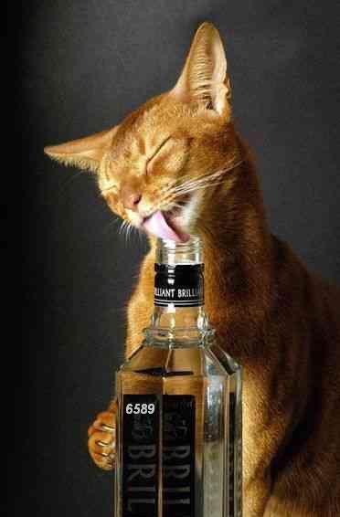 494.DAX Tipp-Spiel, Montag, 19.03.07 88181