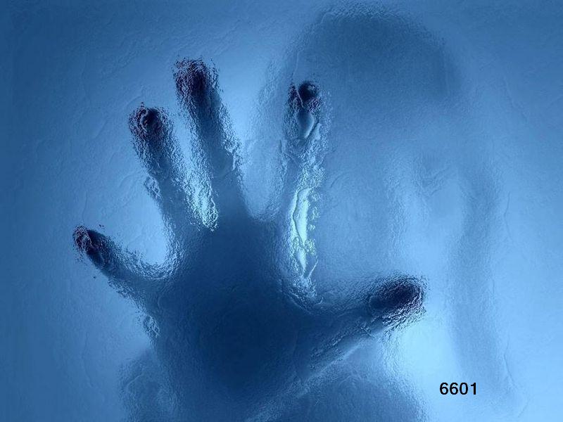 736.DAX Tipp-Spiel, Dienstag, 04.03.08 151997