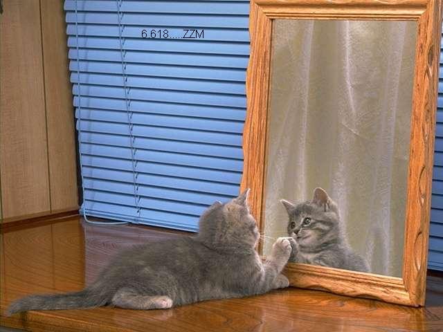 488.DAX Tipp-Spiel, Freitag, 09.03.07 86623