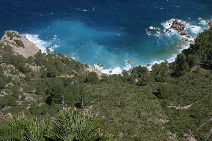 709.DAX Tipp-Spiel, Freitag, 25.01.08 144441